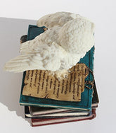 US 4.75 Inch Snow Owl Flap Wings on Books Trinket Box, White Color